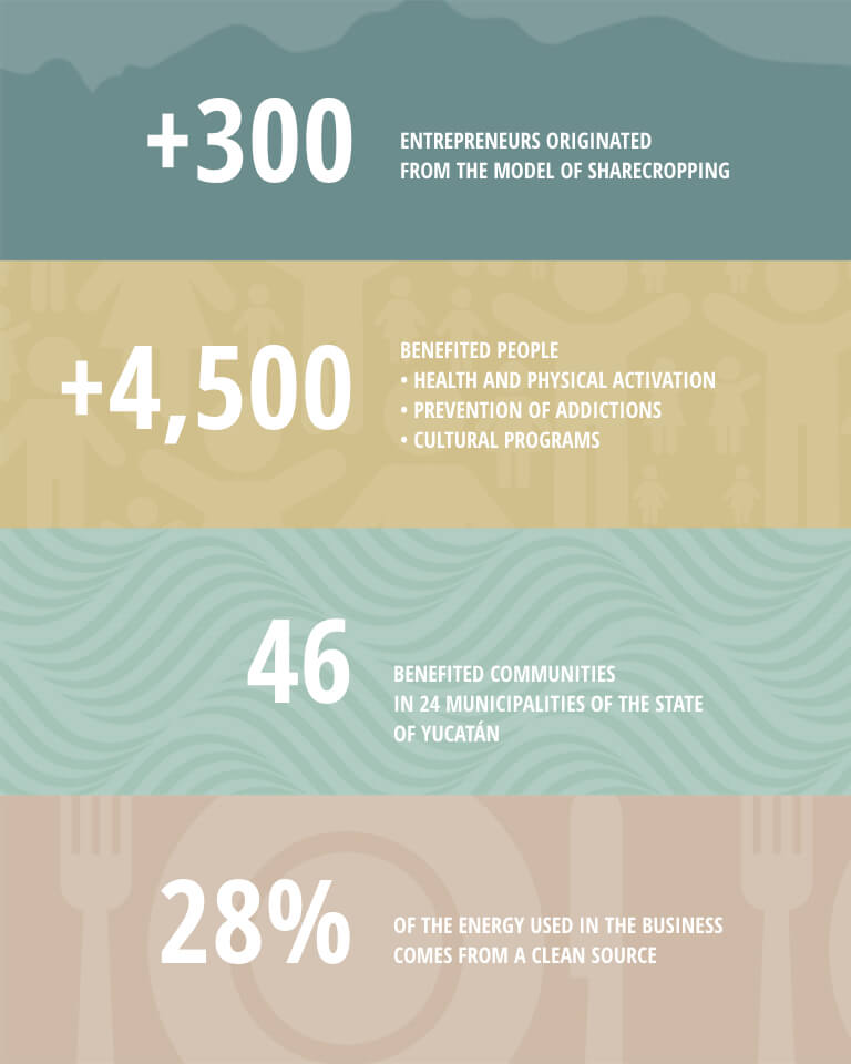 image translation effect