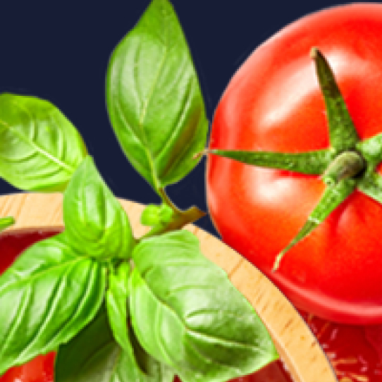 portafolio de negocios