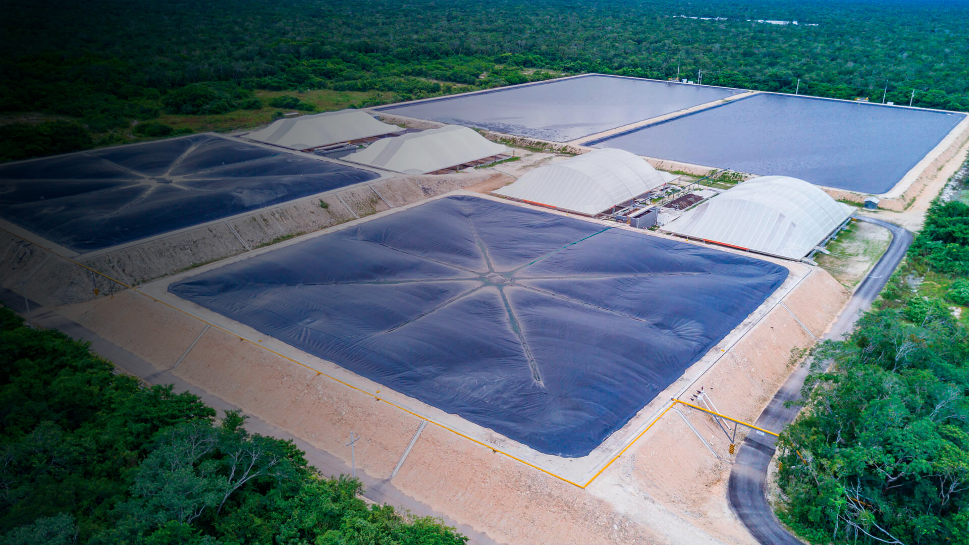 operational efficiency