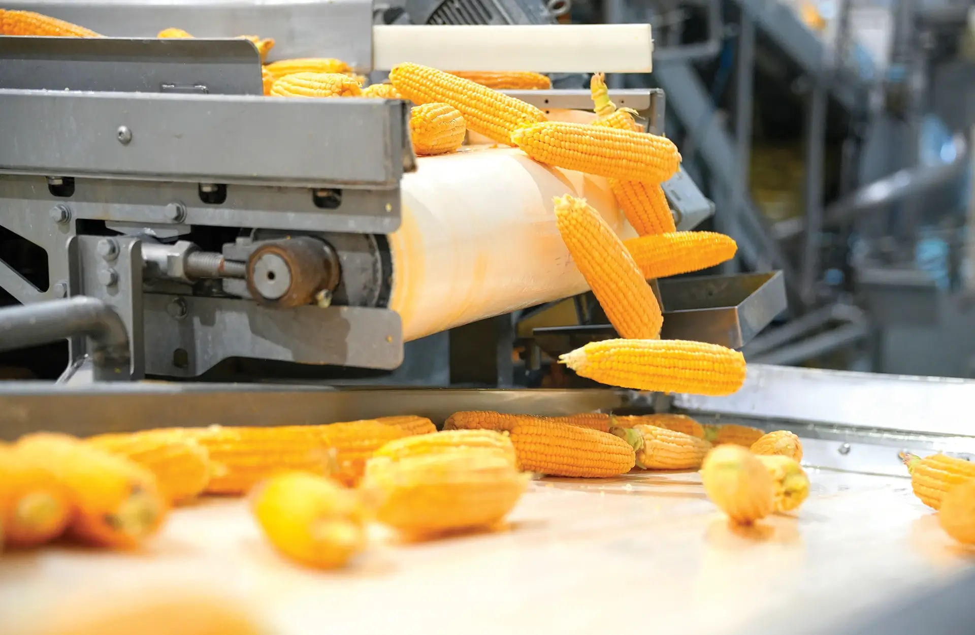 KUO - Economy Performance 