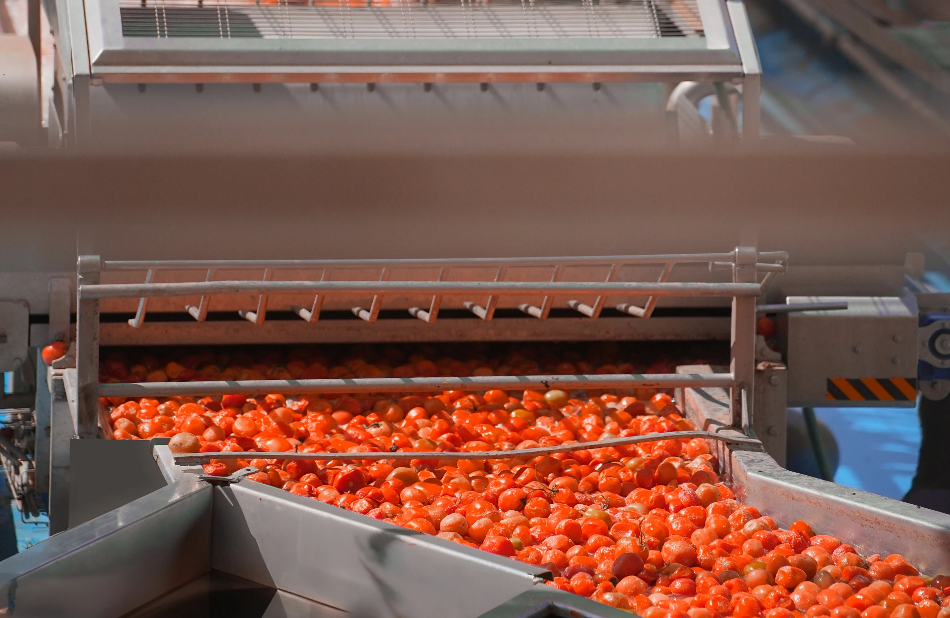 KUO - Sustainable Process and Products