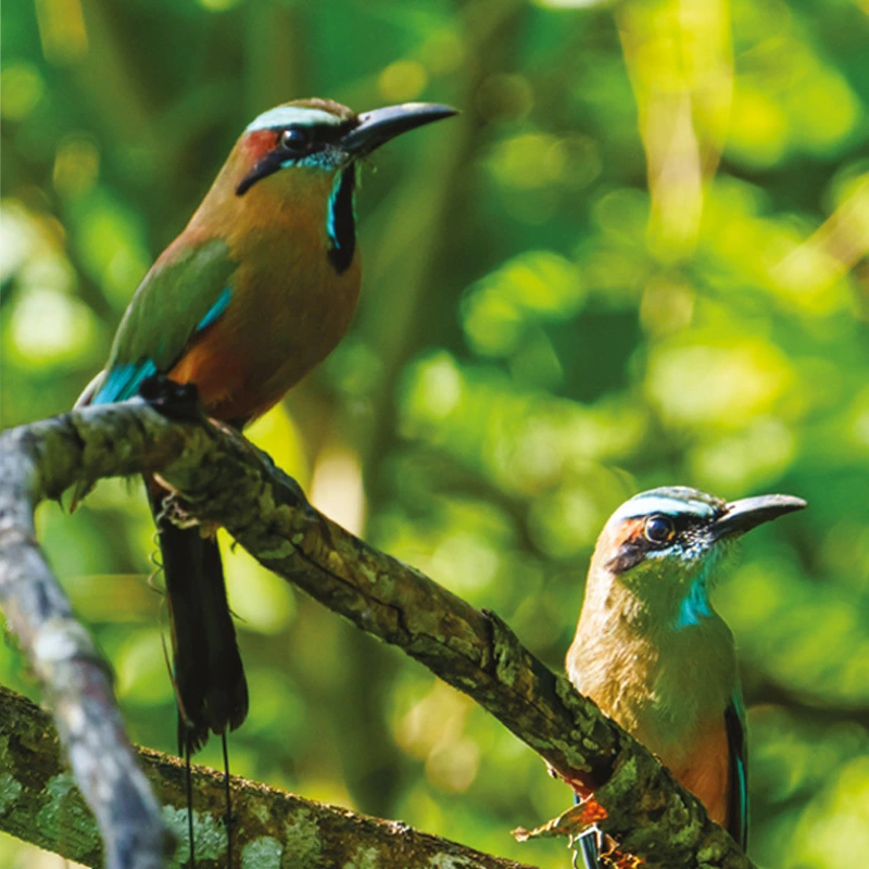 KUO - Sustainability