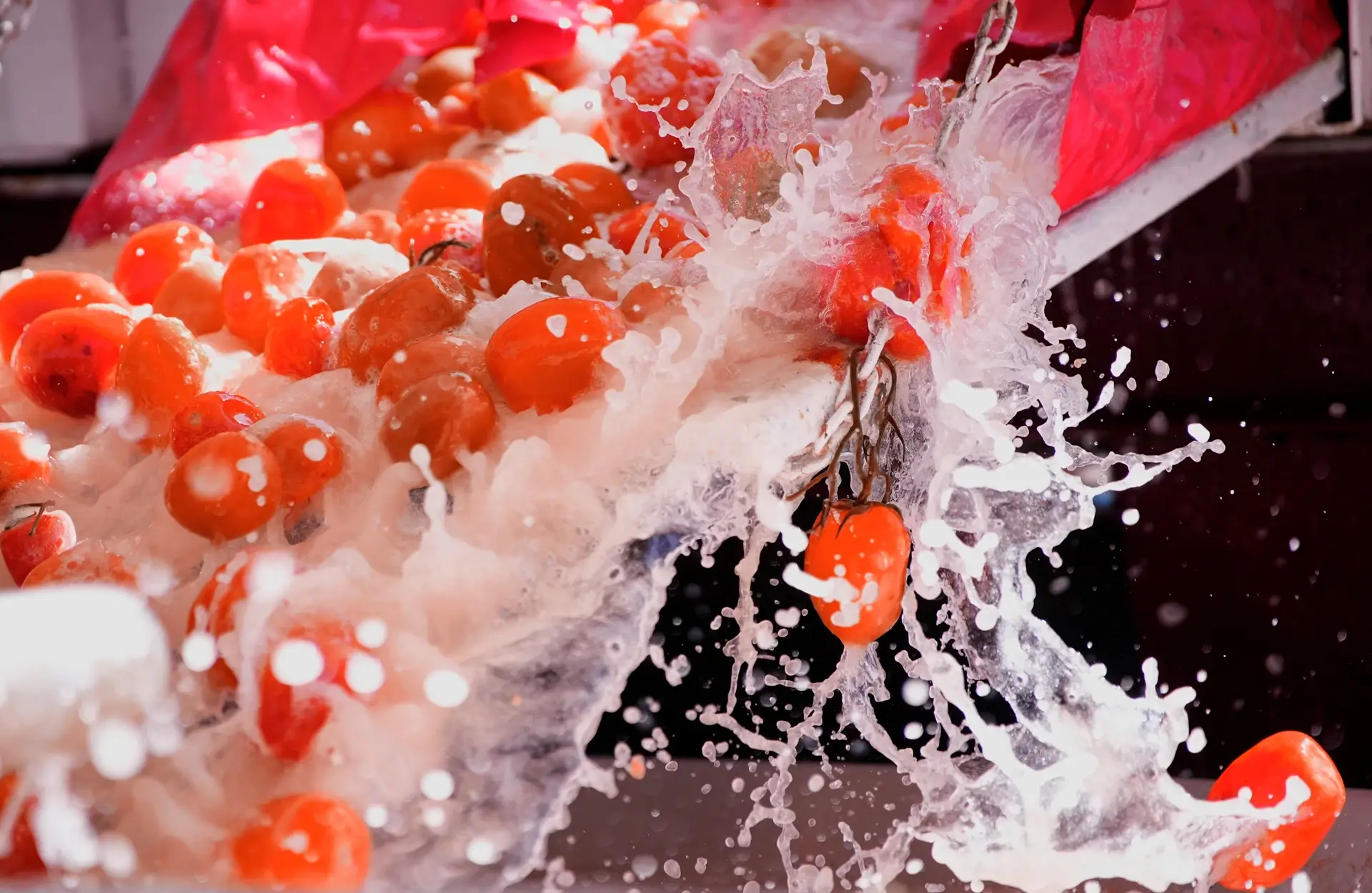 KUO - cadena de suministro