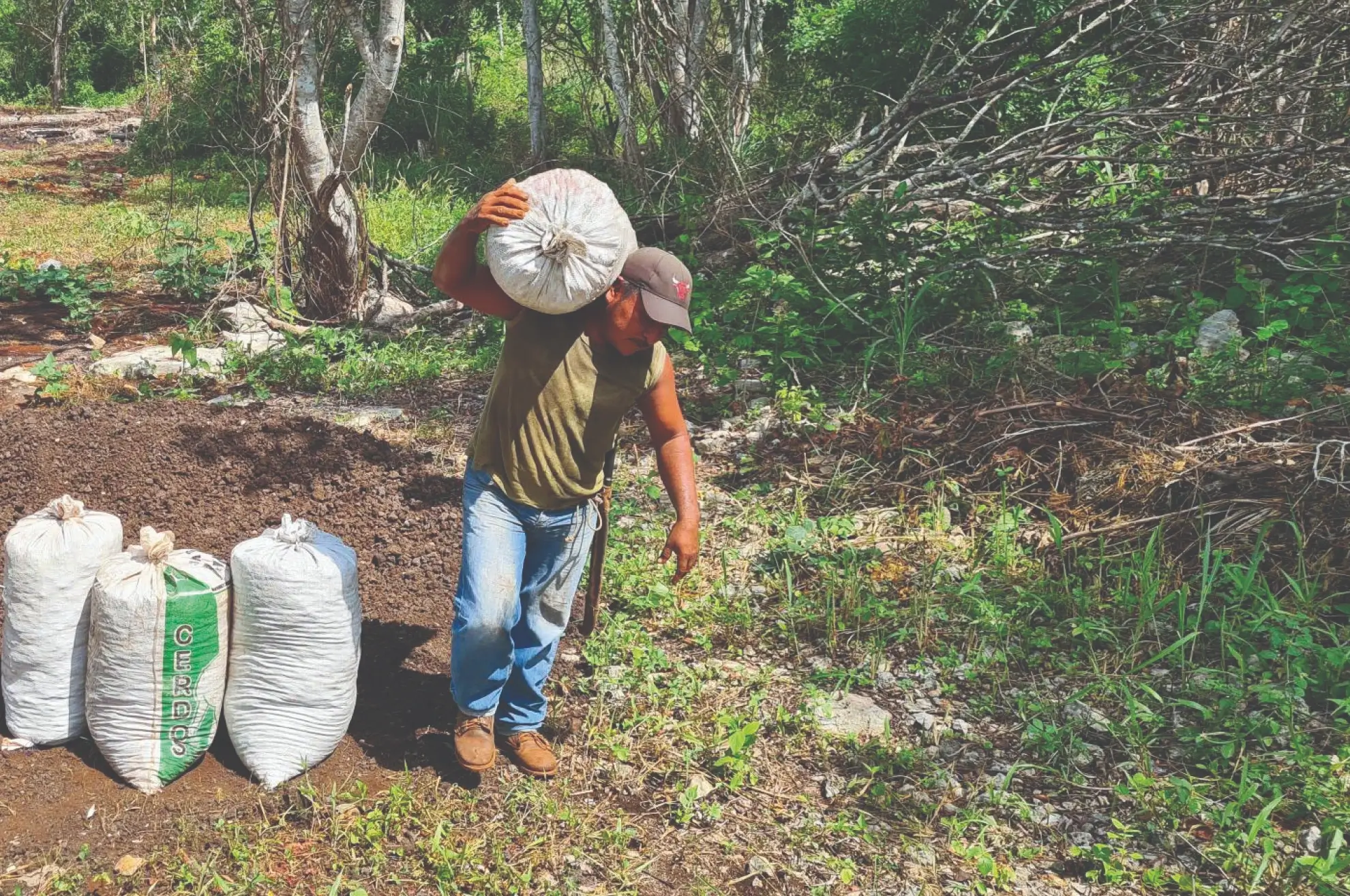 KUO - Gestión social