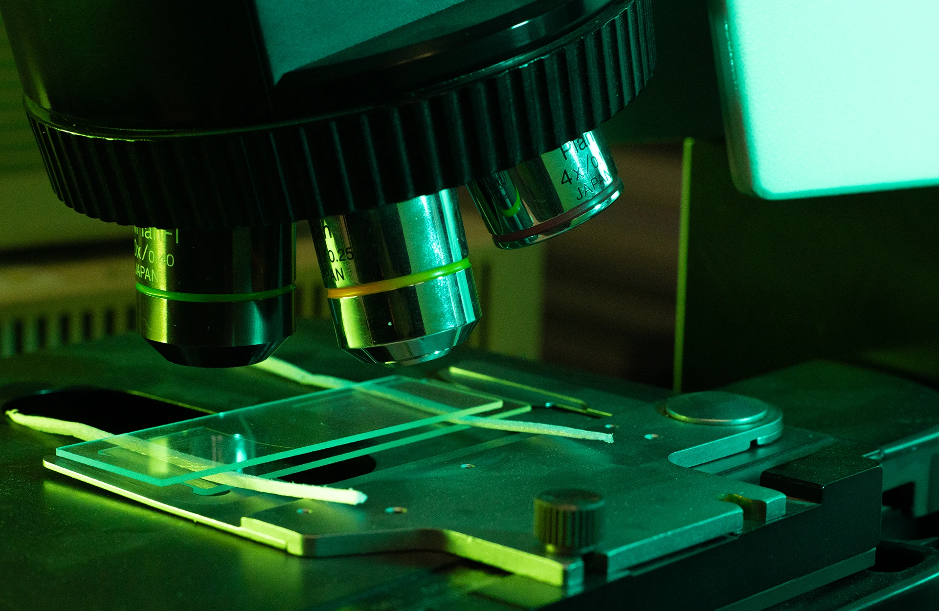 KUO - Innovación y tecnología