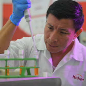 Gestión y monitoreo de riesgos Colaborador