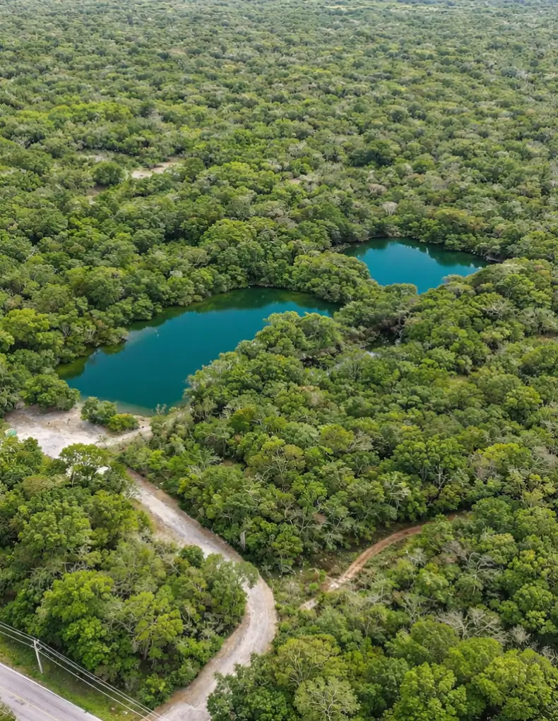 Gestion ambiental