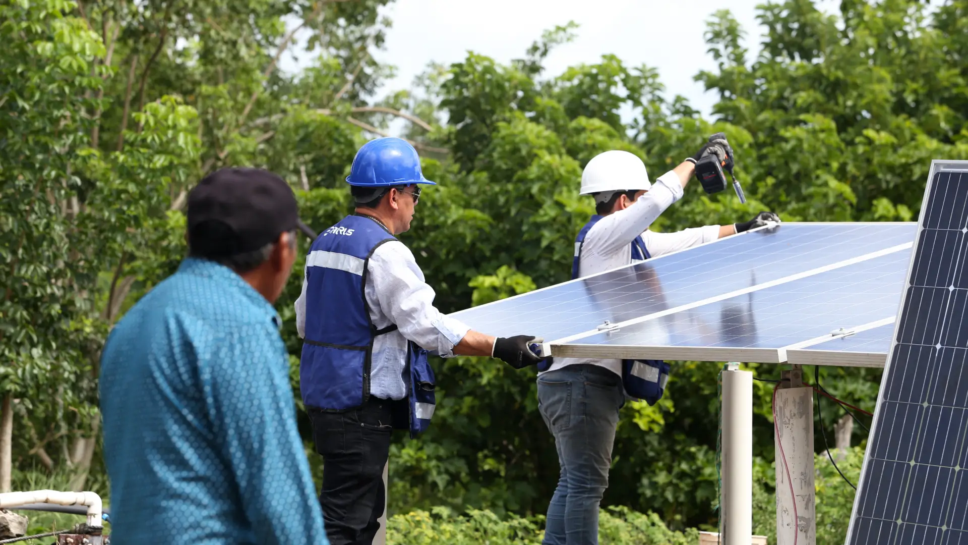 Gestión ambiental páneles
